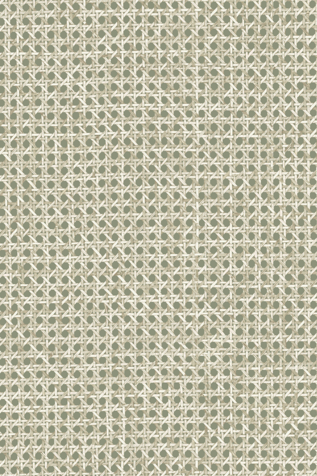 ARTE Le Rotin Essentials L'Invité 60515 afbeelding 1 "Groen"