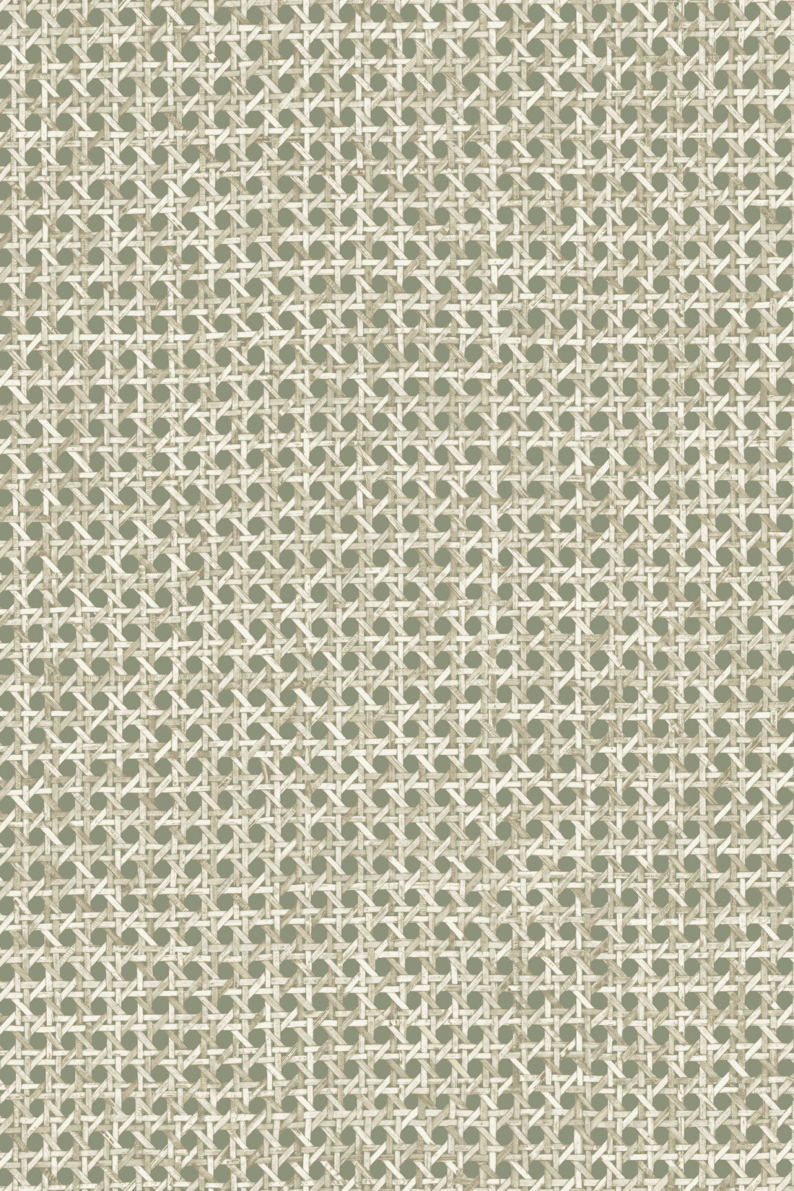 ARTE Le Rotin Essentials L'Invité 60515 afbeelding 1 "Groen"