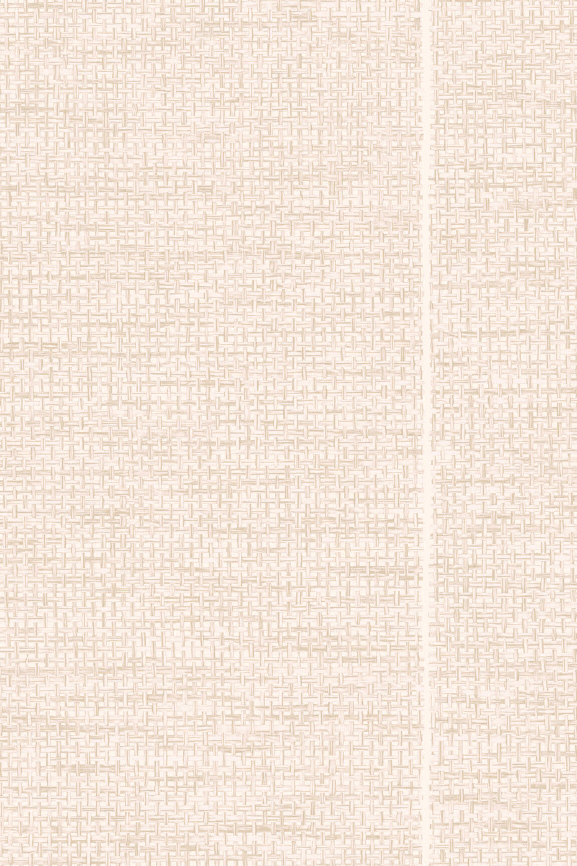ARTE Le Raphia Tissé Essentials Les Naturels 26740 afbeelding 1 "Naturel"
