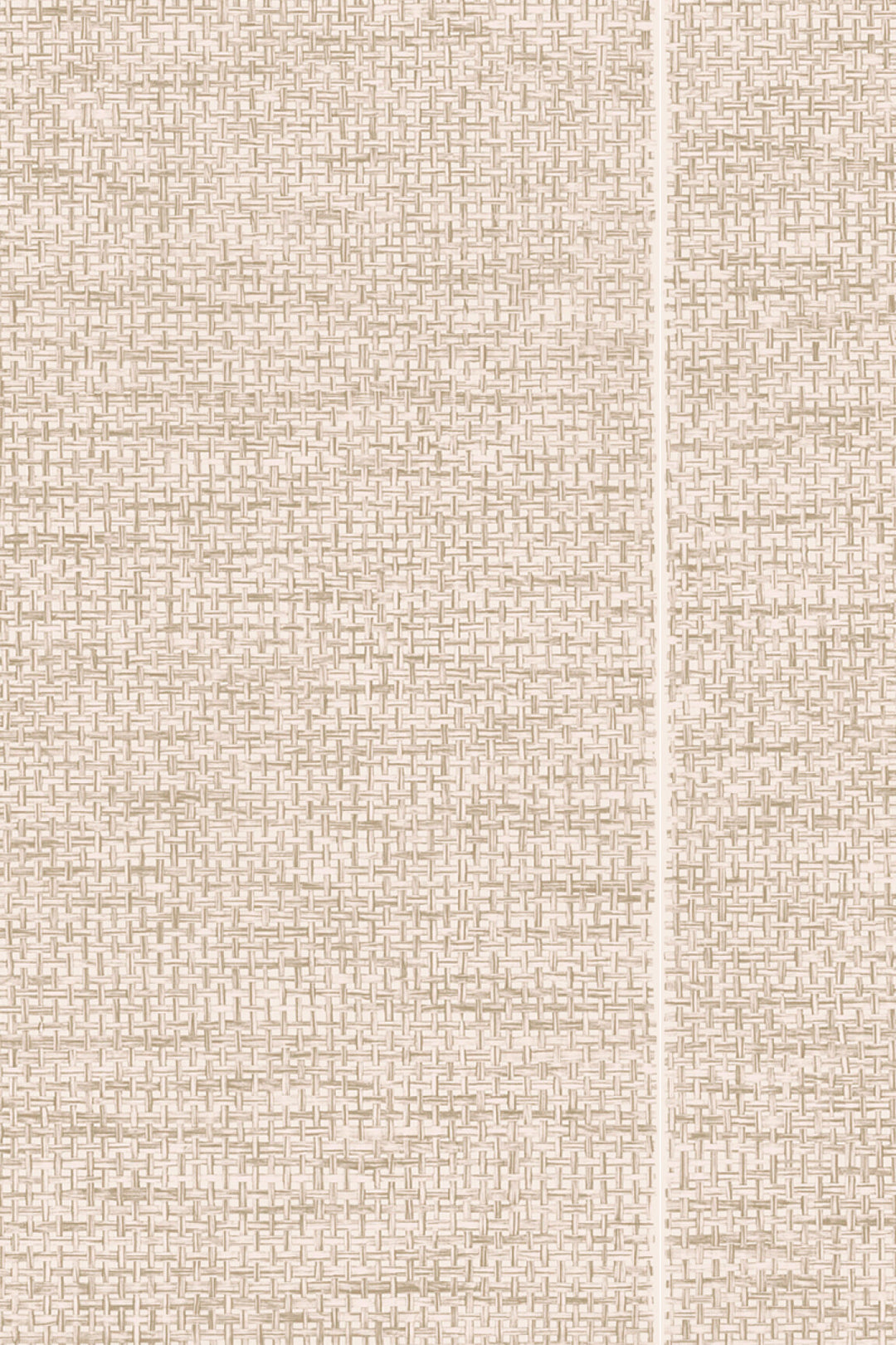 ARTE Le Raphia Tissé Essentials Les Naturels 26741 afbeelding 1 "Naturel"