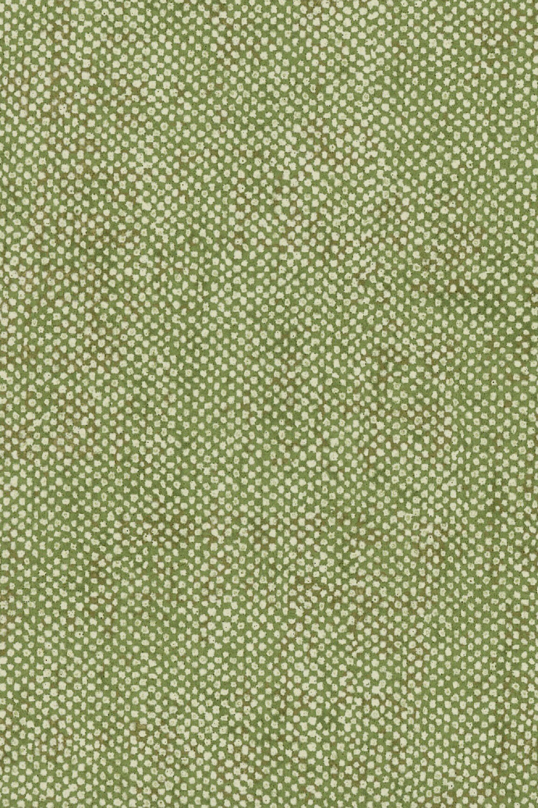 ARTE Granville Essentials Palette 91611C afbeelding 1 "Groen"
