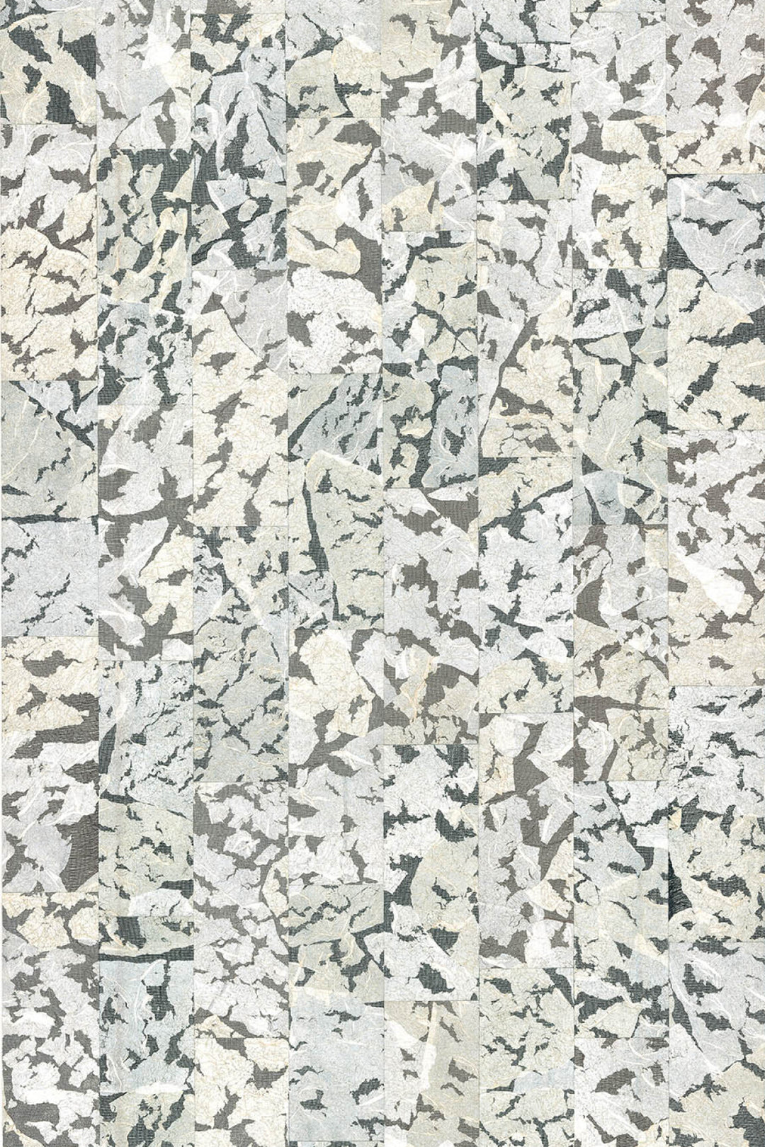 ARTE Armoured Boar Moooi Wallcovering Extinct Animals MO2111 afbeelding 1 "Zwart / Grijs","Wit"