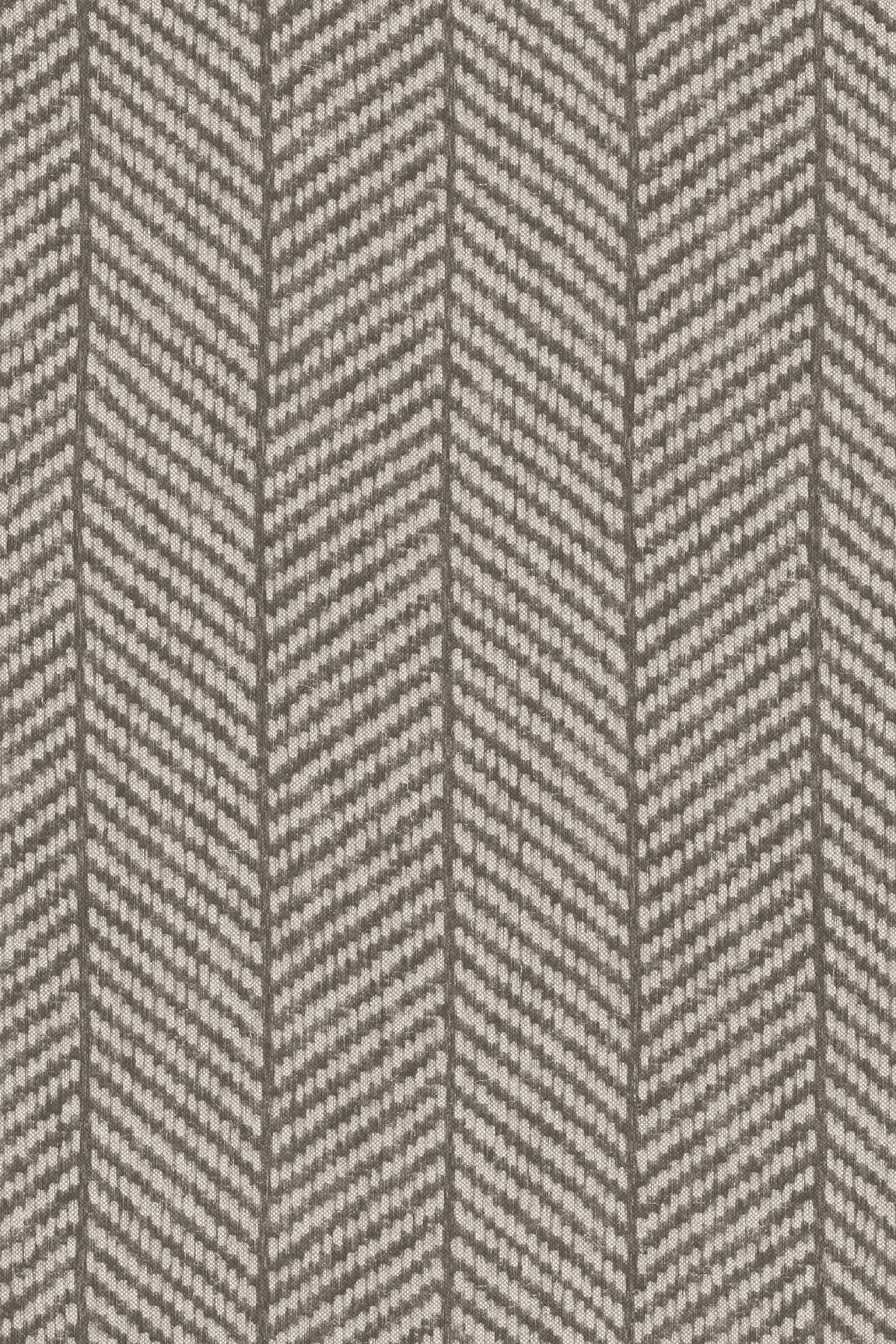 ARTE Costume Flamant Caractère 12023 afbeelding 1 "Zwart / Grijs"