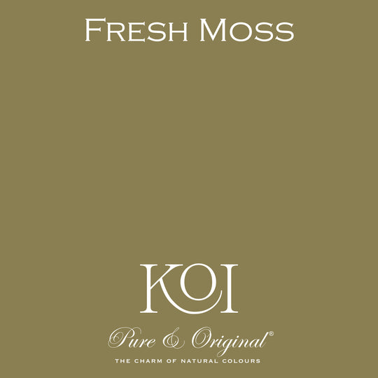 NEU: Classico | Frisches Moos