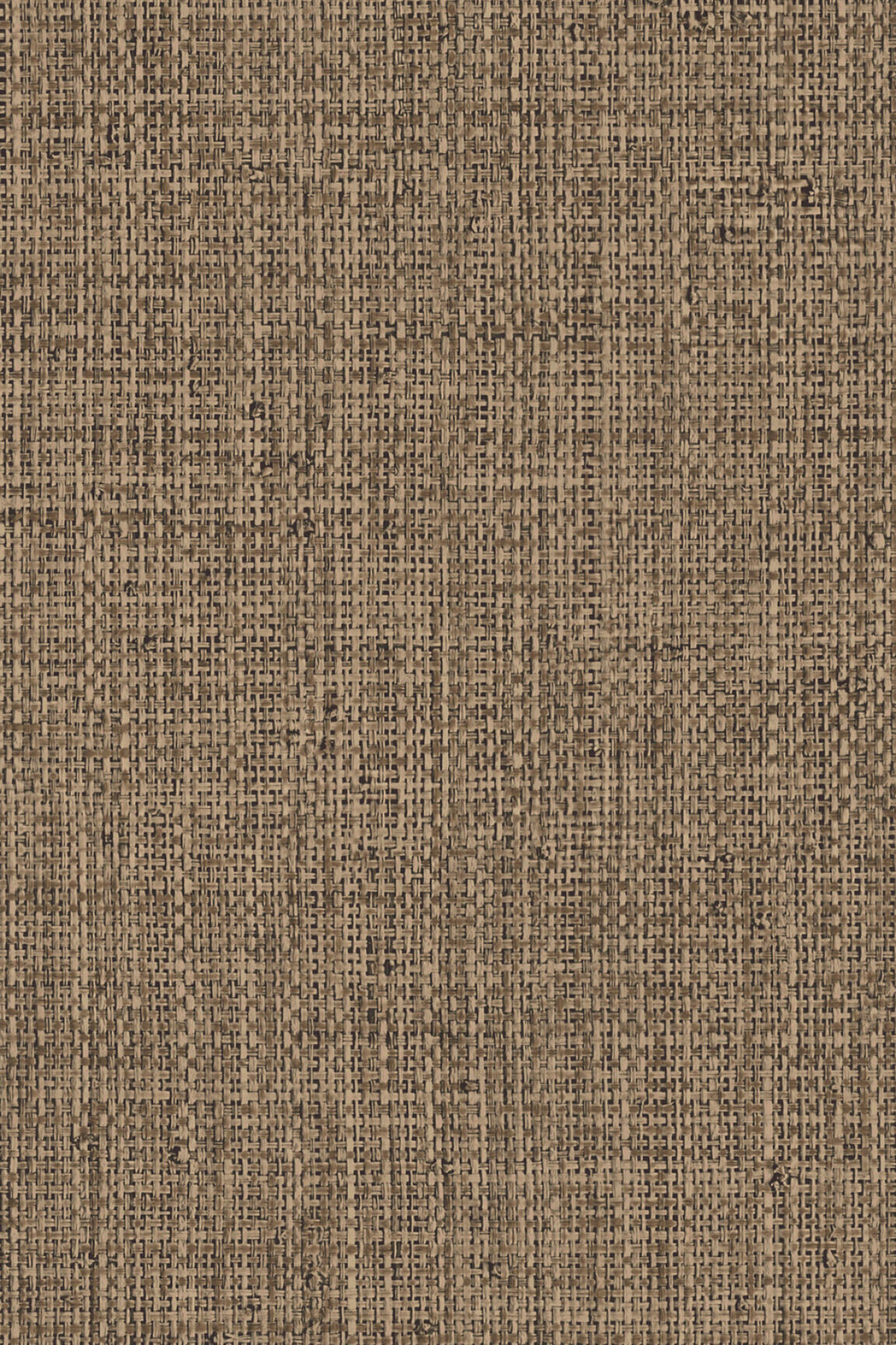 ARTE Nongo Gitane 49512 afbeelding 1 "Bruin"