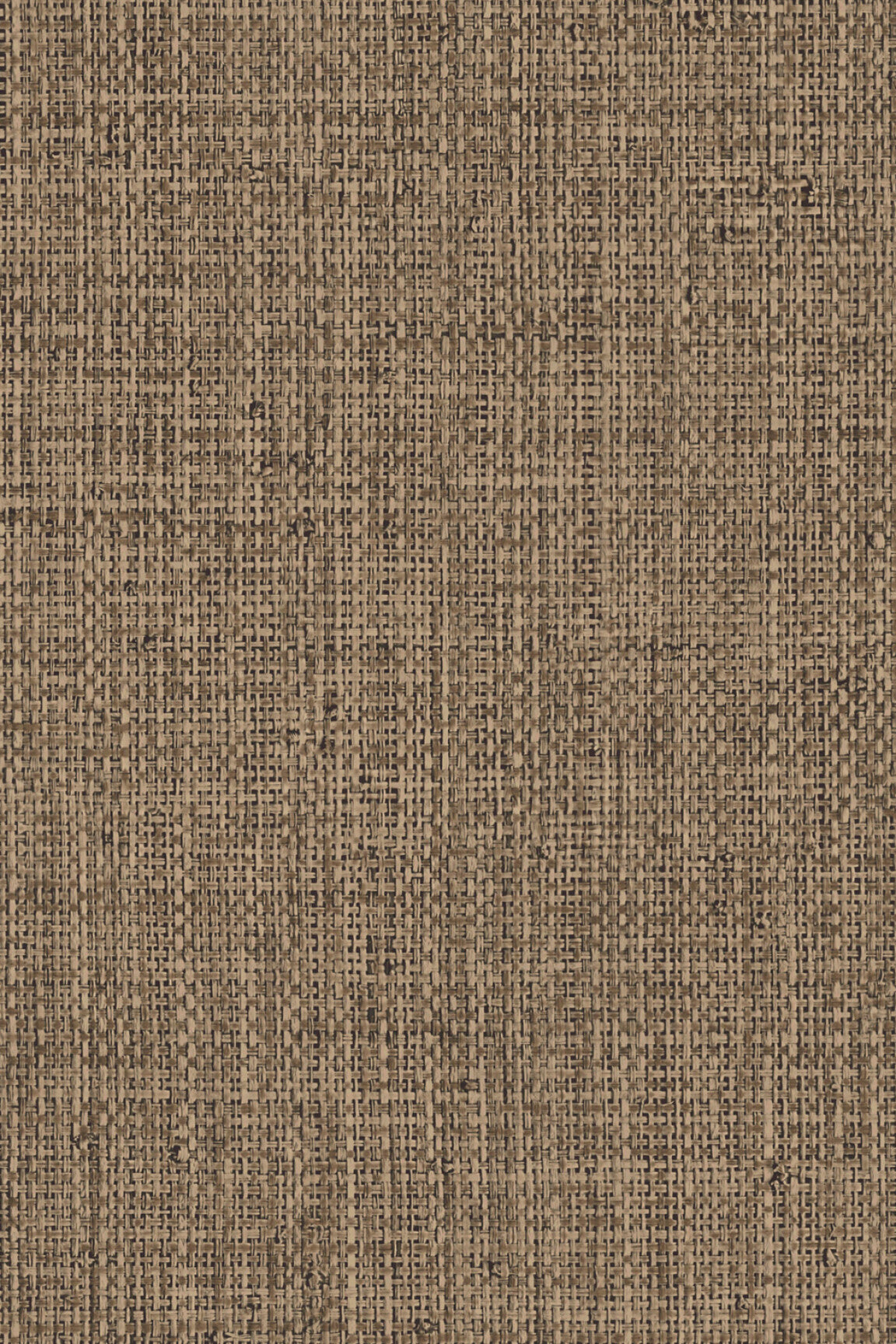 ARTE Nongo Gitane 49512 afbeelding 1 "Bruin"