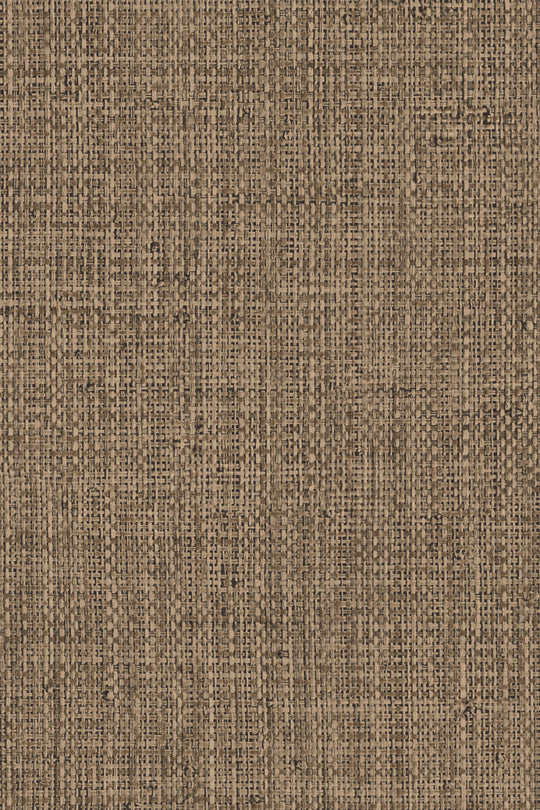 ARTE Nongo Gitane 49512 afbeelding 1 "Bruin"