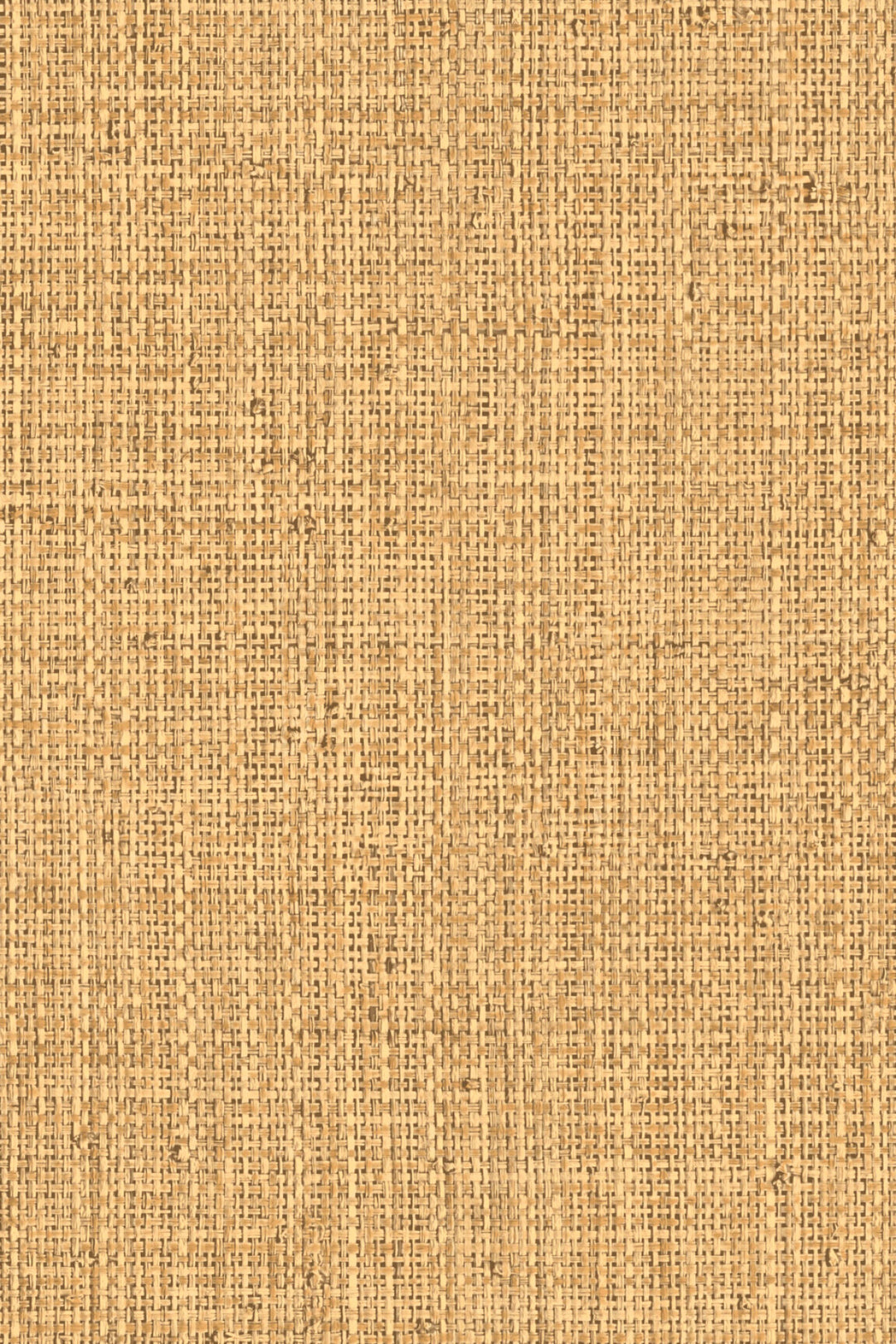 ARTE Nongo Gitane 49513 afbeelding 1