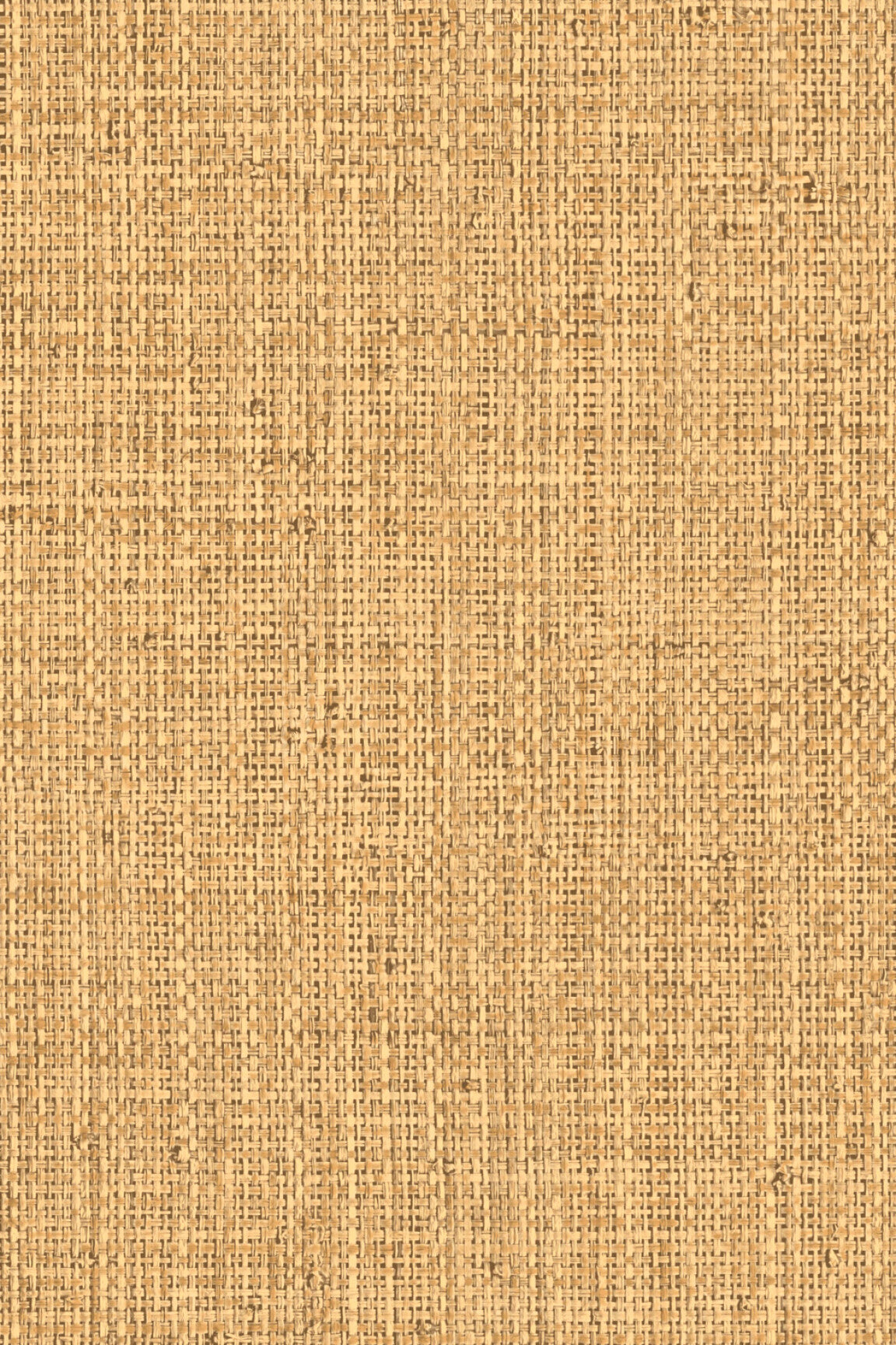 ARTE Nongo Gitane 49513 afbeelding 1