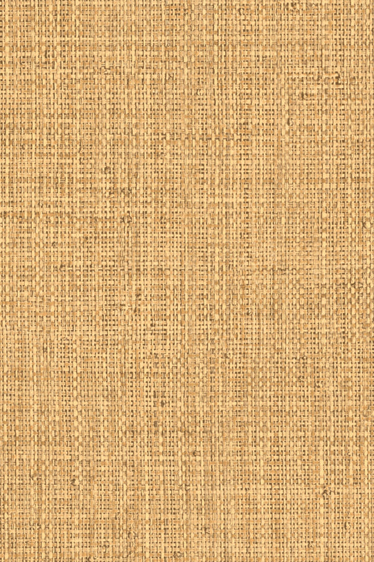 ARTE Nongo Gitane 49513 afbeelding 1