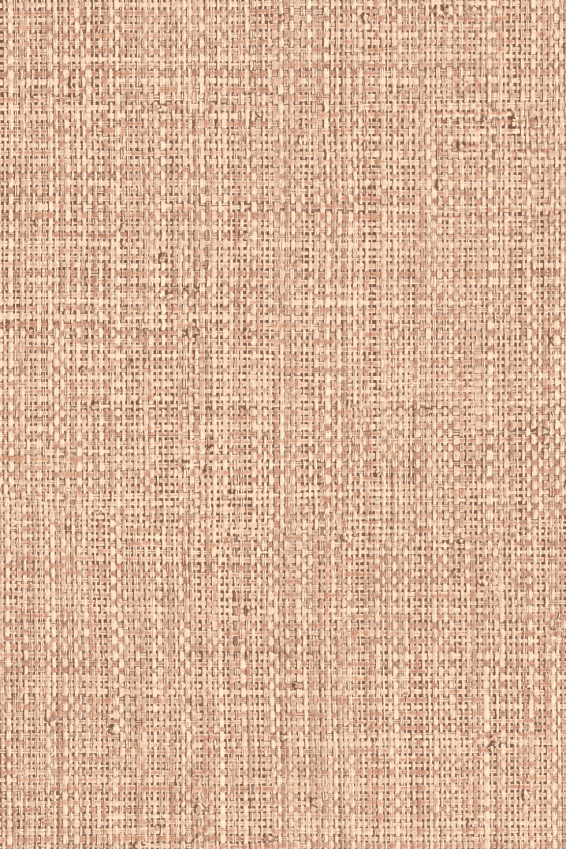 ARTE Nongo Gitane 49516 afbeelding 1 "Roze"