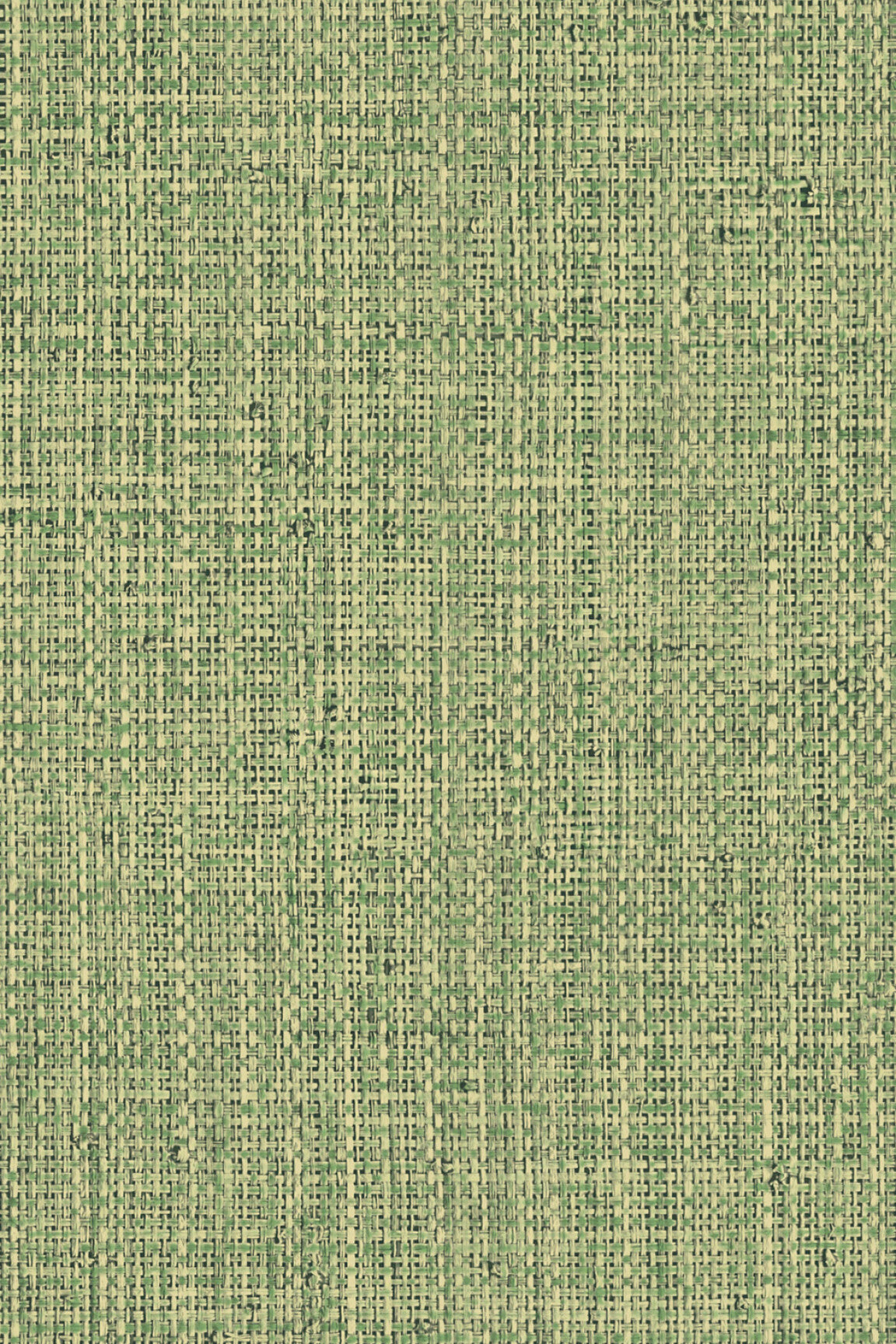 ARTE Nongo Gitane 49517 afbeelding 1 "Groen"