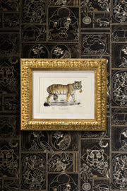 ARTE Golden Tiger Moooi Wallcovering Memento Moooi MO4040 afbeelding 4