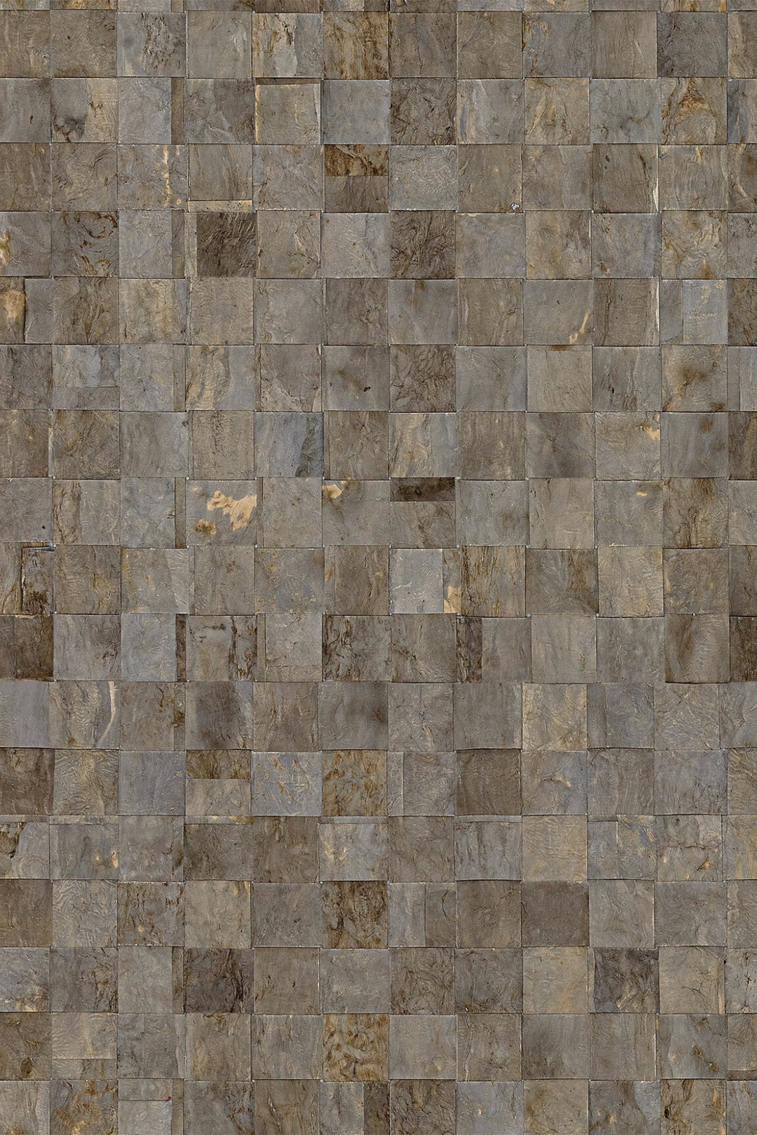 ARTE Impulse Intuition INT221 afbeelding 1 "Zwart / Grijs"