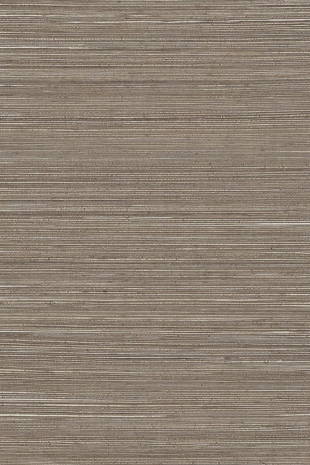 ARTE Instinct Intuition INT514 afbeelding 1 "Zwart / Grijs"