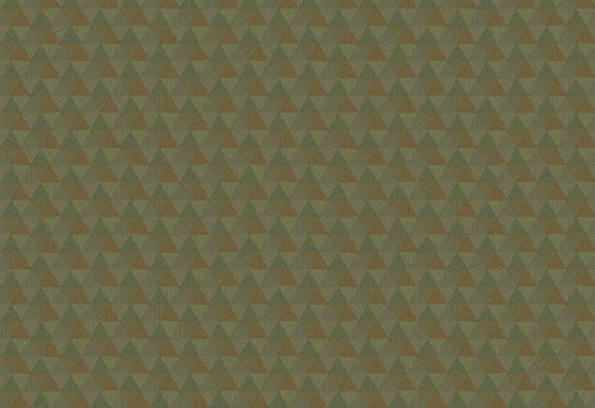 HookedOnWalls JV 602 Jaipur Triangles Tropicales behang 6834Afbeelding 1