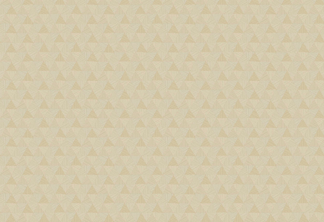 HookedOnWalls JV 602 Jaipur Triangles Tropicales behang 6831Afbeelding 1