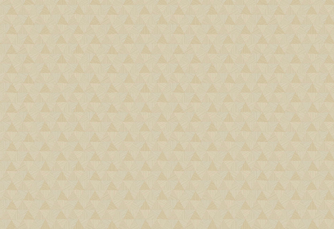 HookedOnWalls JV 602 Jaipur Triangles Tropicales behang 6831Afbeelding 1