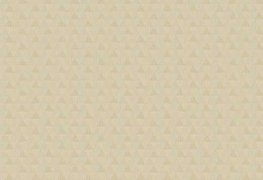 HookedOnWalls JV 602 Jaipur Triangles Tropicales behang 6831Afbeelding 1