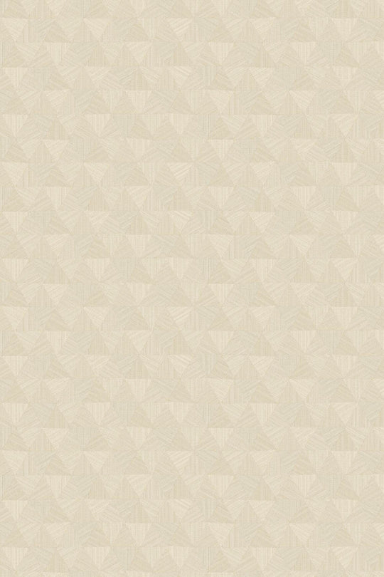 HookedOnWalls JV 602 Jaipur Triangles Tropicales behang 6830Afbeelding 4
