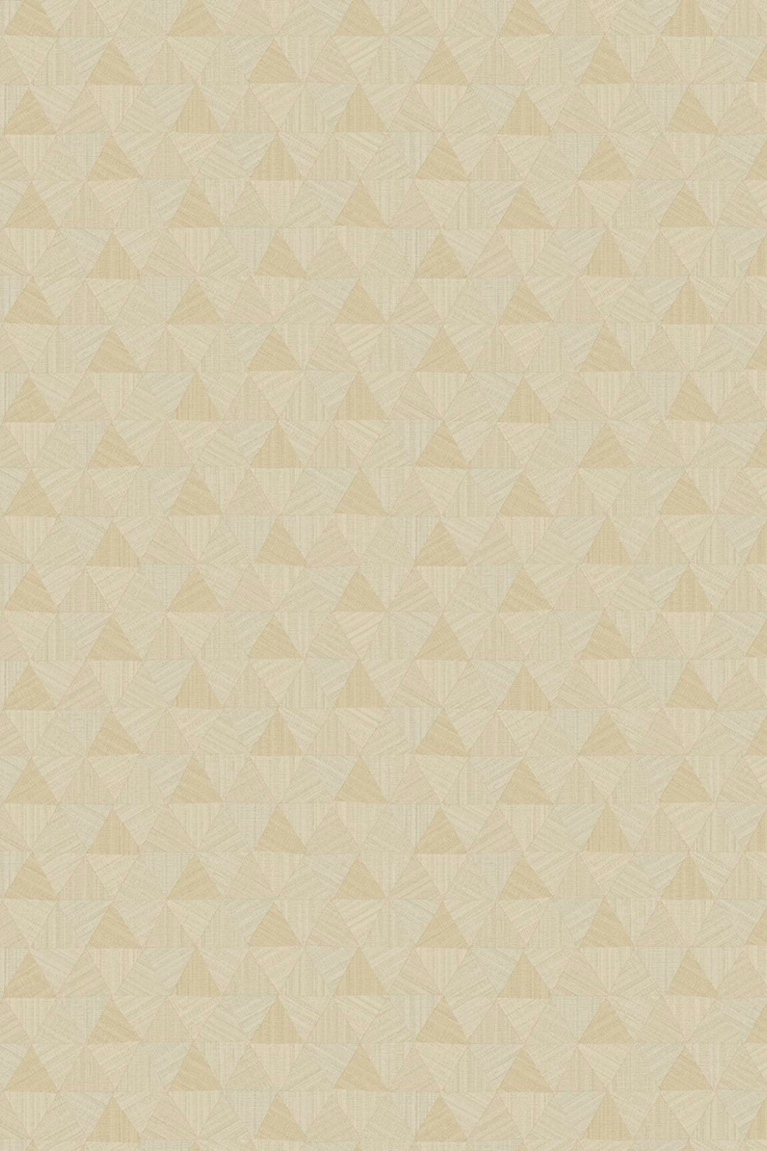 HookedOnWalls JV 602 Jaipur Triangles Tropicales behang 6831Afbeelding 4