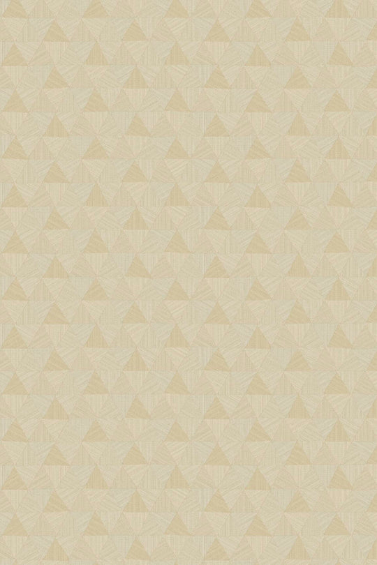 HookedOnWalls JV 602 Jaipur Triangles Tropicales behang 6831Afbeelding 4
