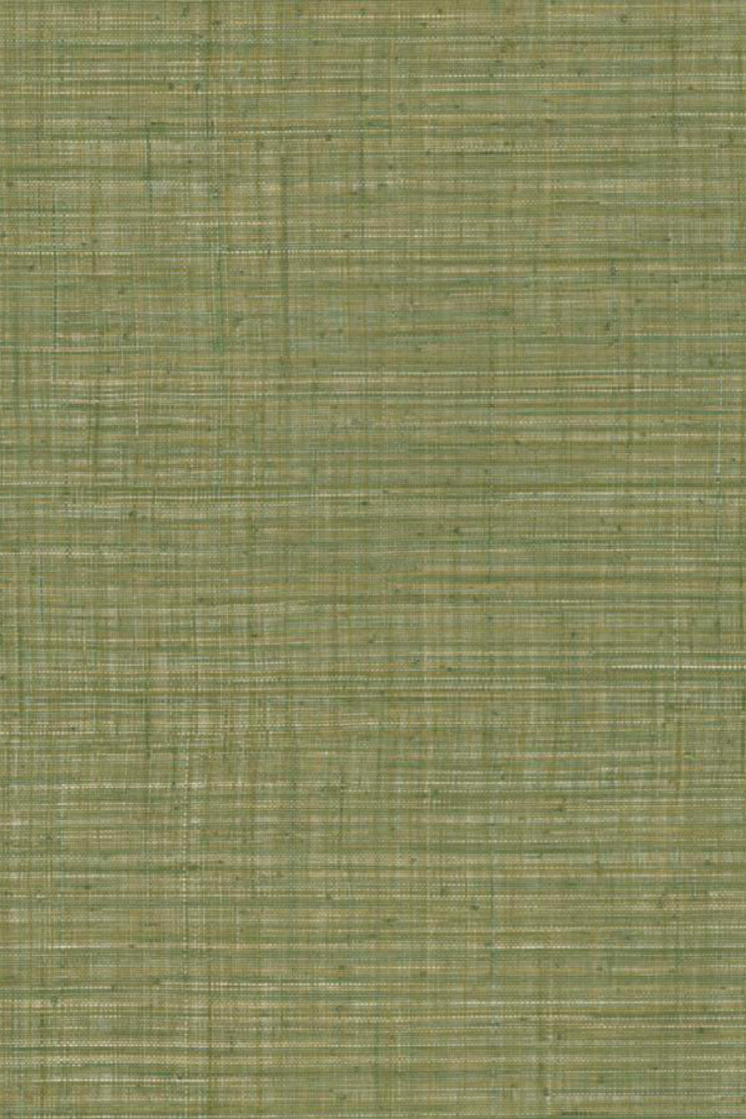 ARTE Unito Tierra JV800 Tierra 6655 afbeelding 1 "Groen"
