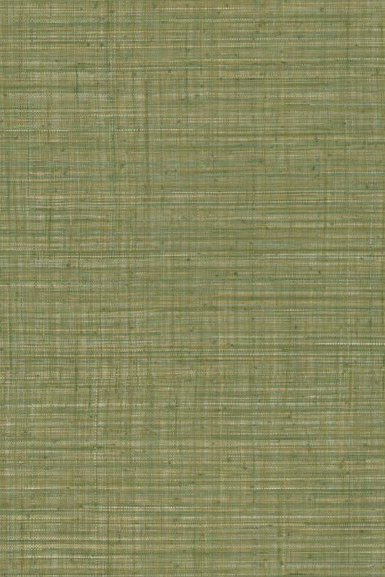 ARTE Unito Tierra JV800 Tierra 6655 afbeelding 1 "Groen"