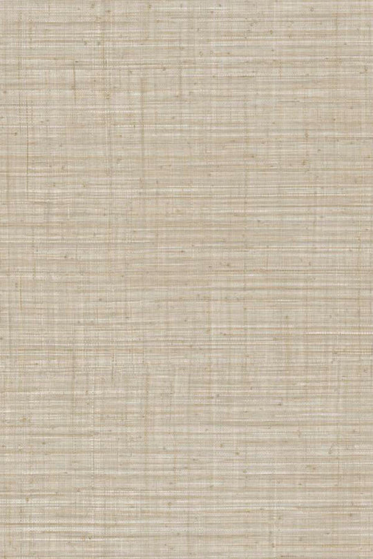 ARTE Unito Tierra JV800 Tierra 6658 afbeelding 1 "Naturel"