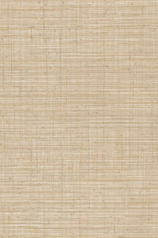 ARTE Unito Tierra JV800 Tierra 6659 afbeelding 1 "Bruin","Naturel"
