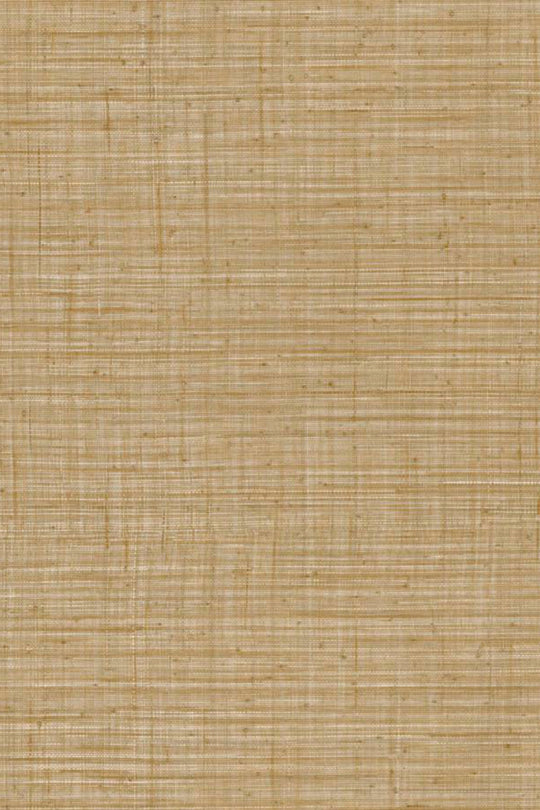 ARTE Unito Tierra JV800 Tierra 6660 afbeelding 1 "Bruin"