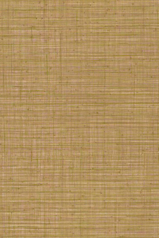 ARTE Unito Tierra JV800 Tierra 6661 afbeelding 1 "Bruin"