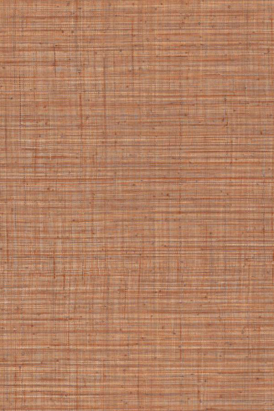 ARTE Unito Tierra JV800 Tierra 6662 afbeelding 1 "Bruin","Oranje"