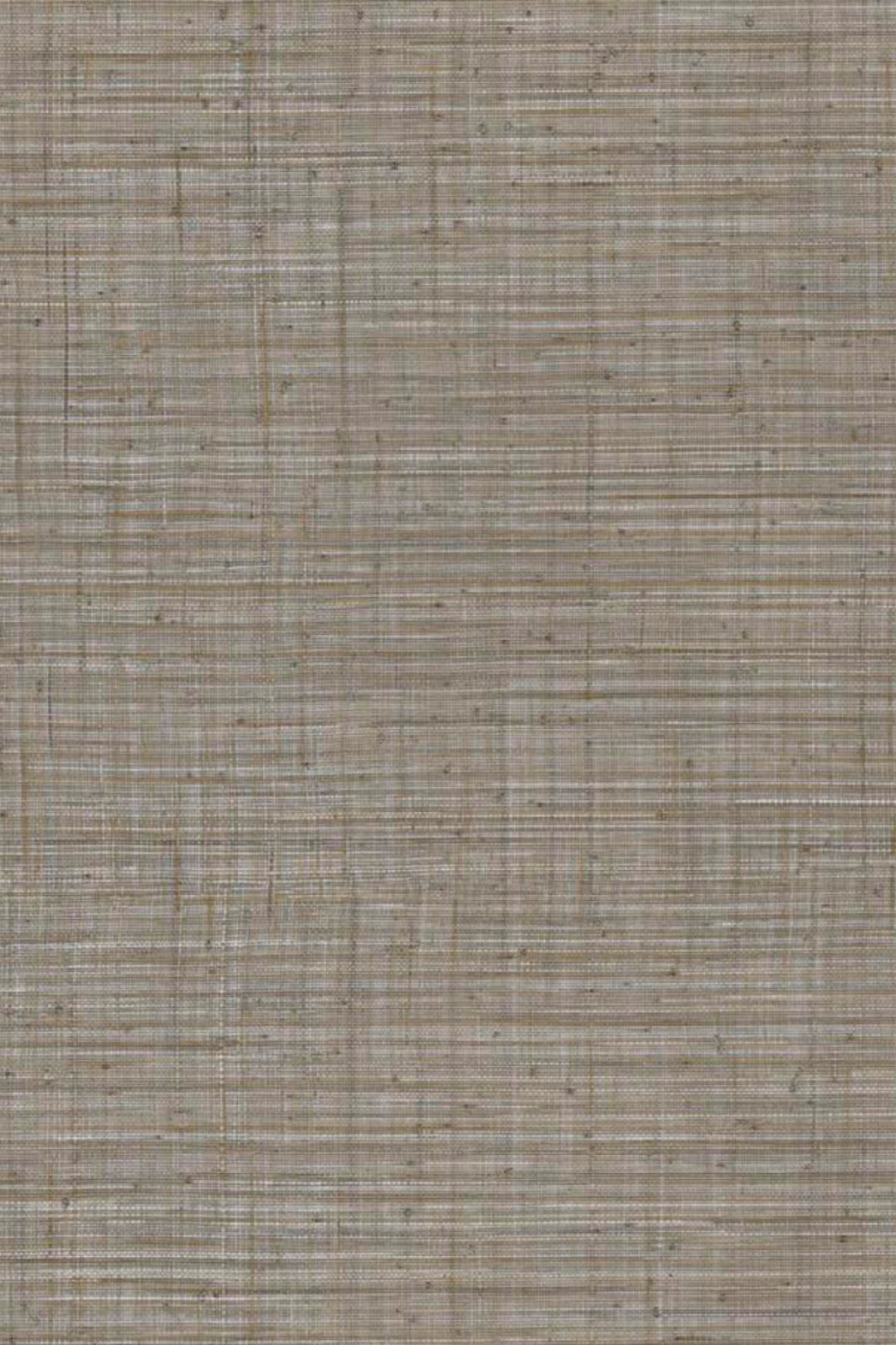 ARTE Unito Tierra JV800 Tierra 6665 afbeelding 1 "Bruin"