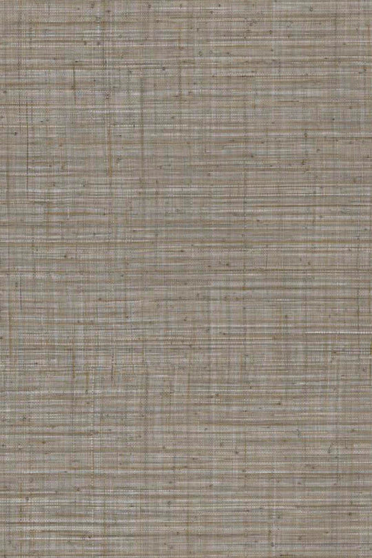 ARTE Unito Tierra JV800 Tierra 6665 afbeelding 1 "Bruin"