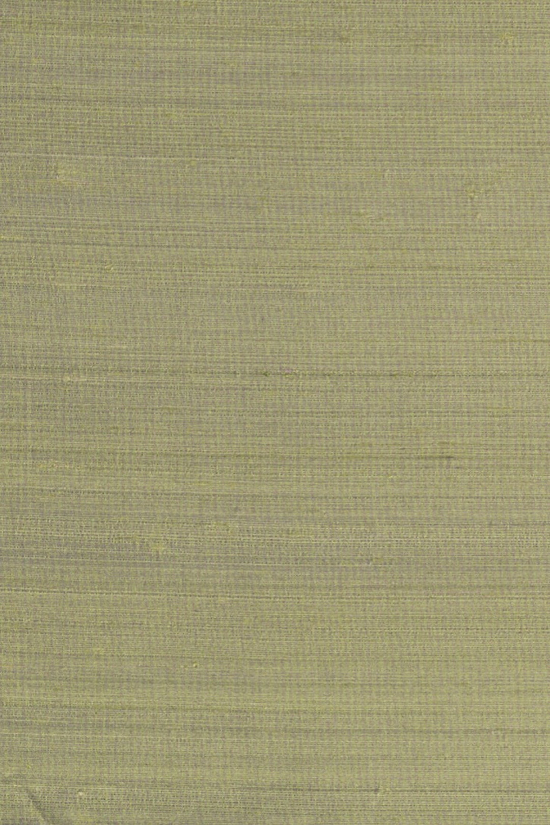 ARTE Papillon Le Couturier 58547 afbeelding 1 "Groen"