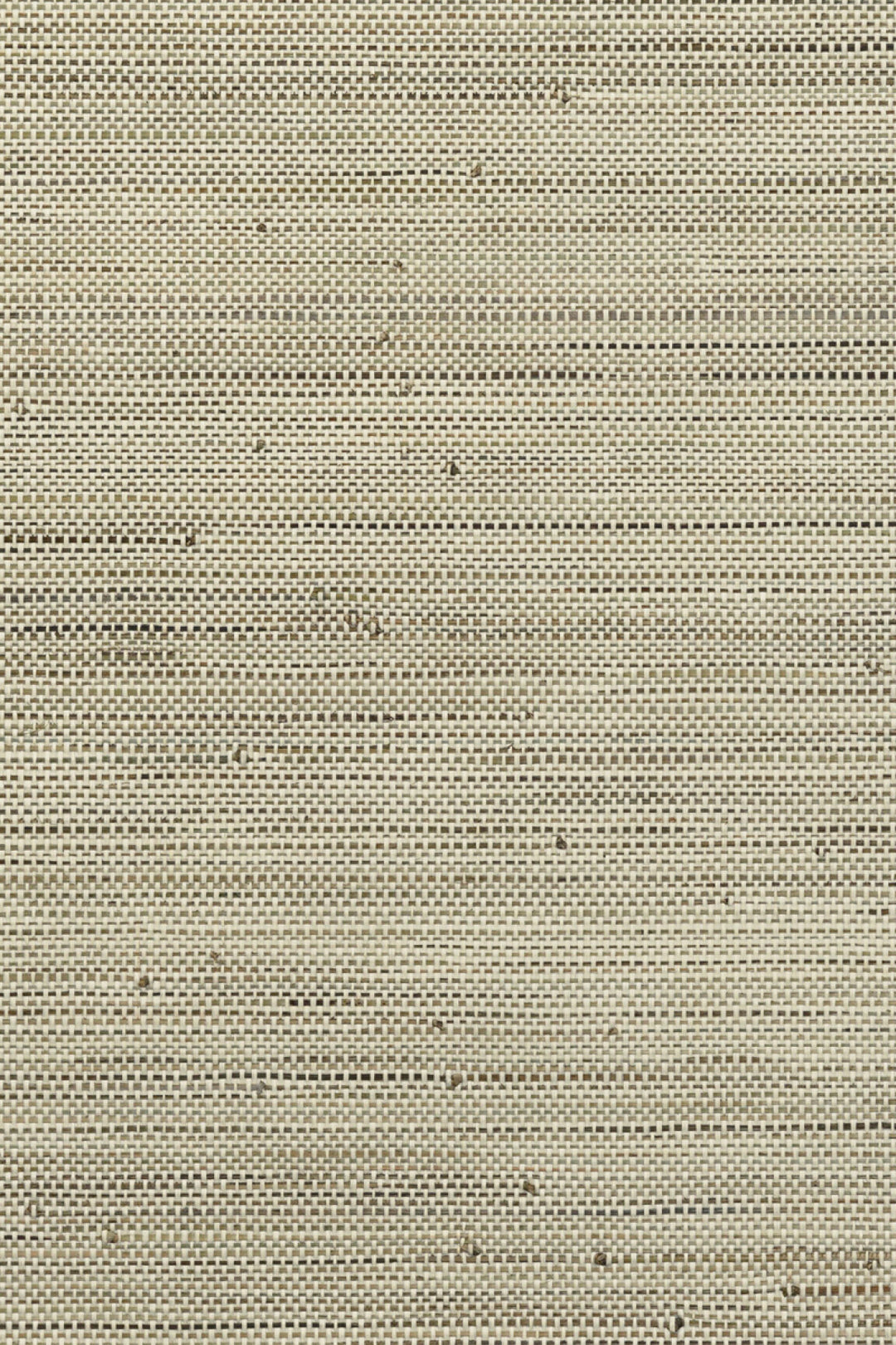 ARTE Infini Les Forêts 48021 afbeelding 1 "Naturel"