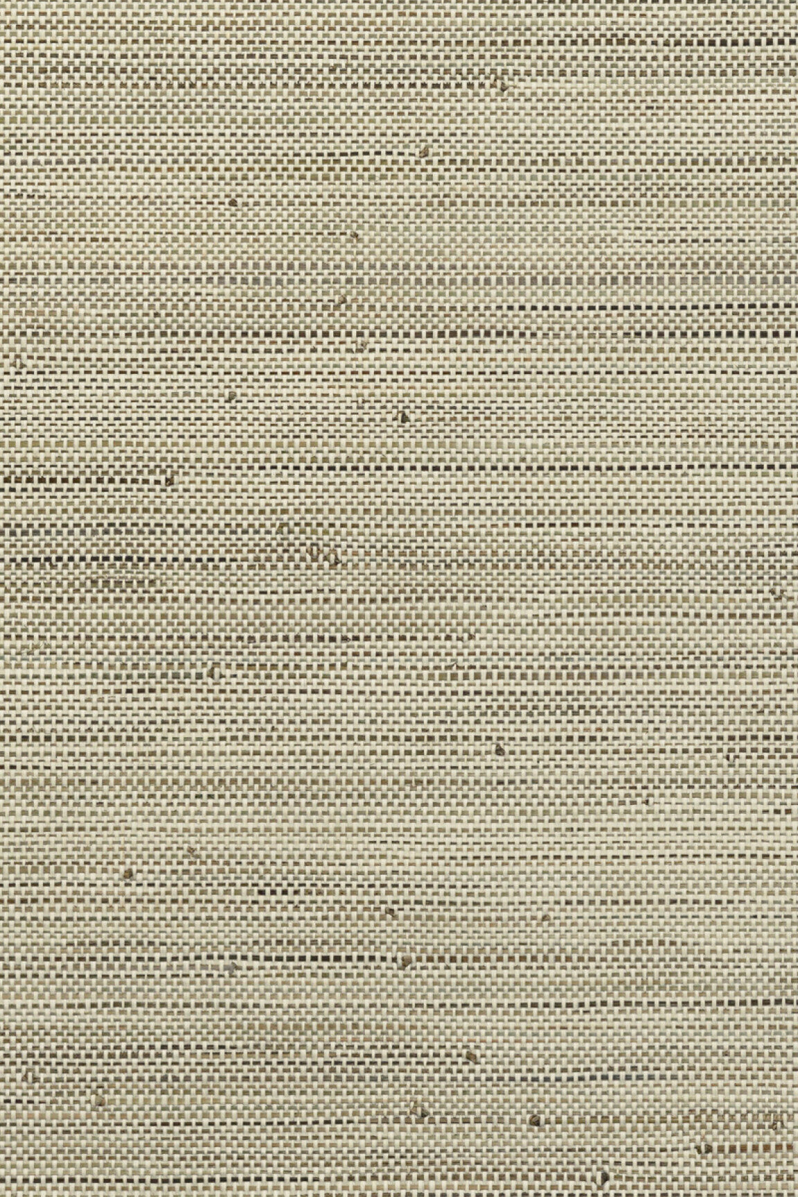ARTE Infini Les Forêts 48021 afbeelding 1 "Naturel"