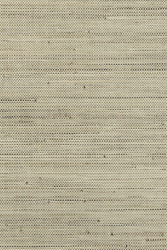 ARTE Infini Les Forêts 48021 afbeelding 1 "Naturel"