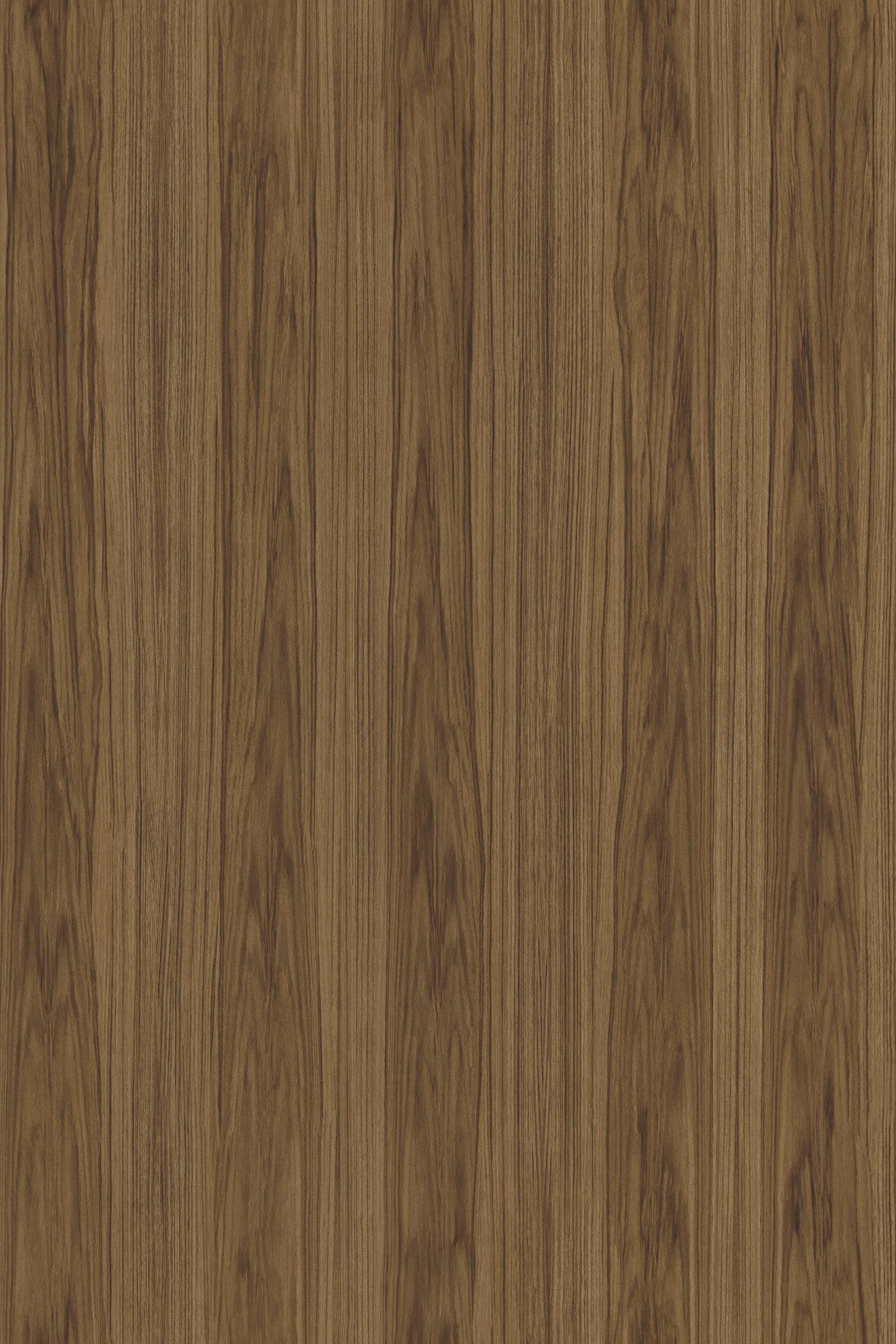ARTE Roots Ligna 42050 afbeelding 1 "Bruin"