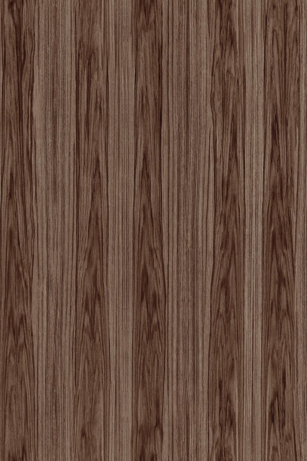 ARTE Roots Ligna 42053 afbeelding 1 "Bruin"