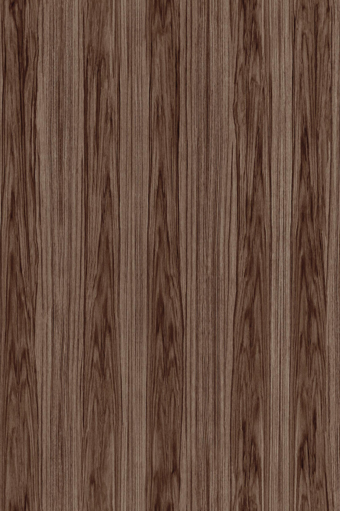 ARTE Roots Ligna 42053 afbeelding 1 "Bruin"