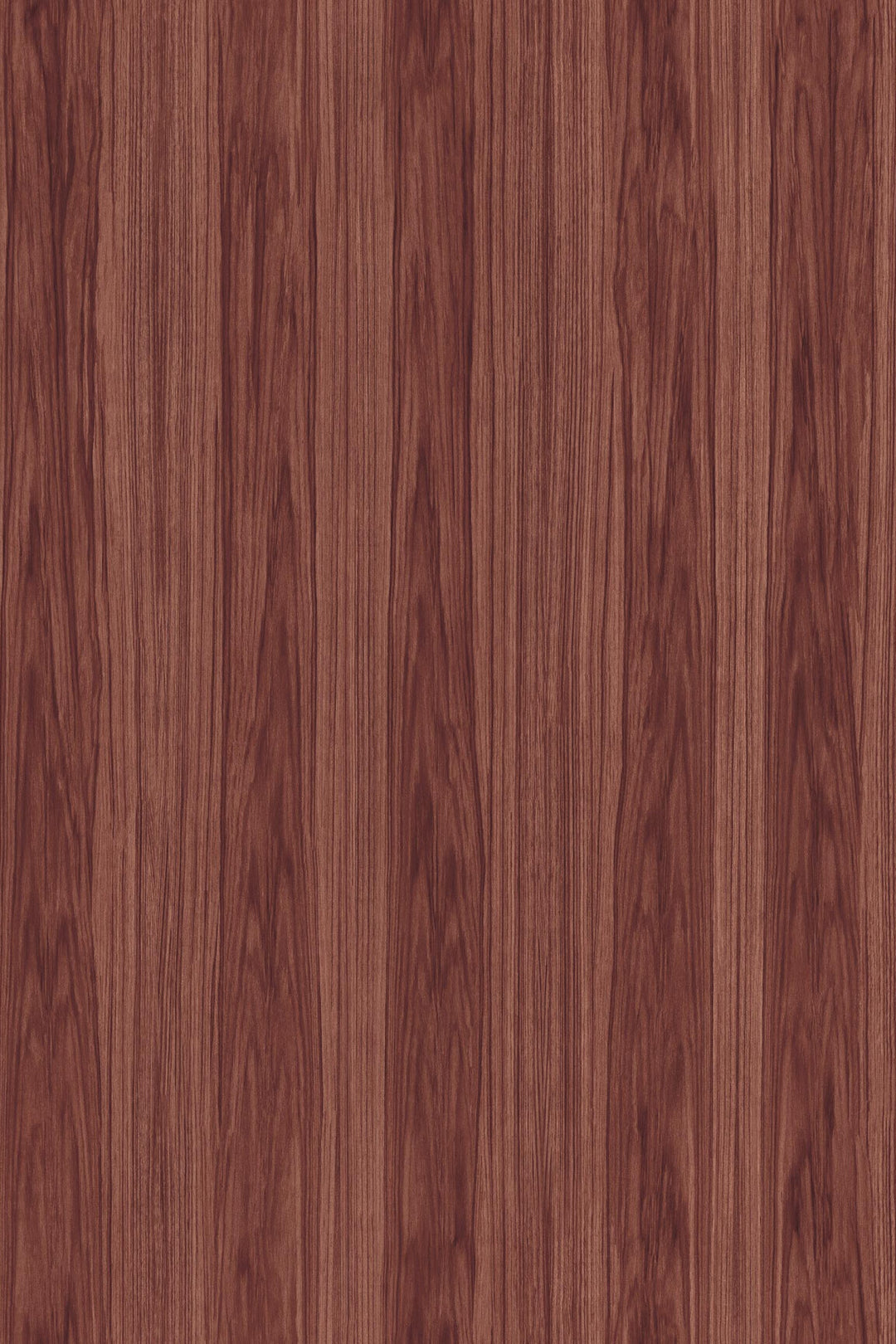 ARTE Roots Ligna 42057 afbeelding 1 "Rood"