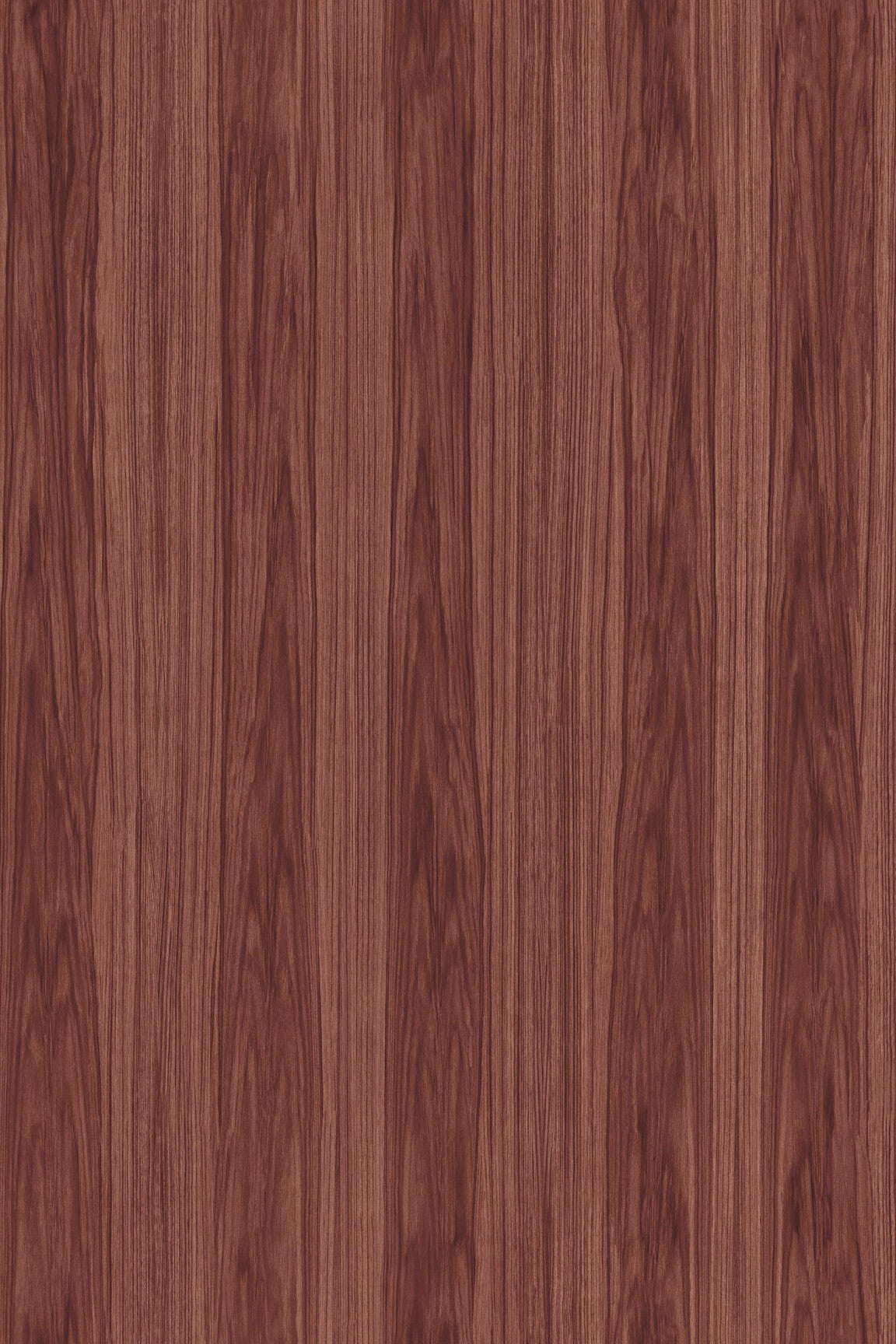 ARTE Roots Ligna 42057 afbeelding 1 "Rood"