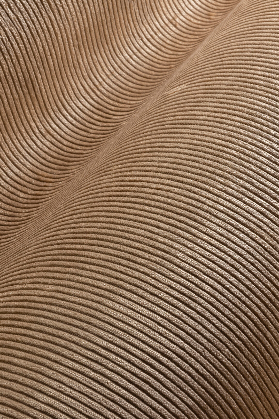 ARTE Corduroy Lush 29516 afbeelding 1 "Naturel"
