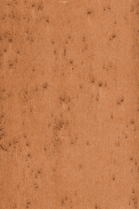 ARTE Stellar Lush 37523A afbeelding 1 "Koper","Oranje"