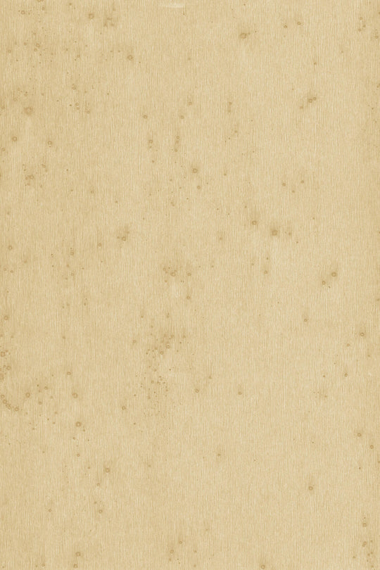 ARTE Stellar Metal X 37518 afbeelding 1 "Naturel"