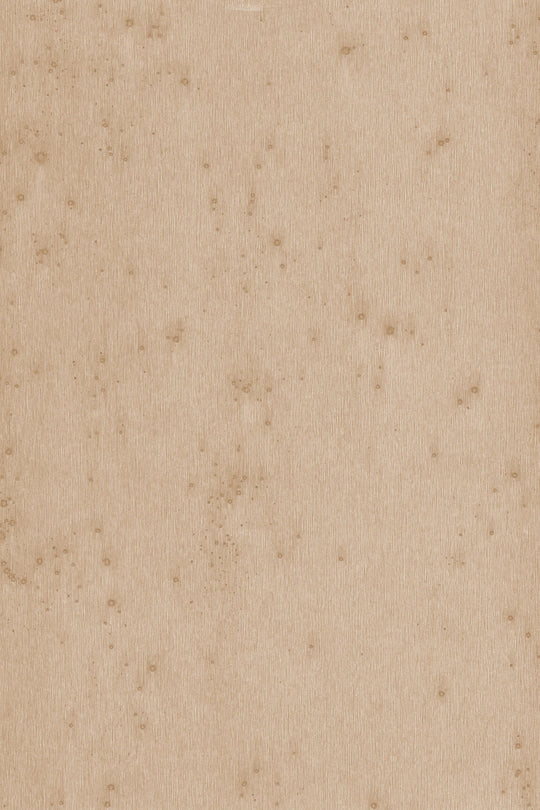ARTE Stellar Metal X 37521 afbeelding 1 "Naturel","Zilver"