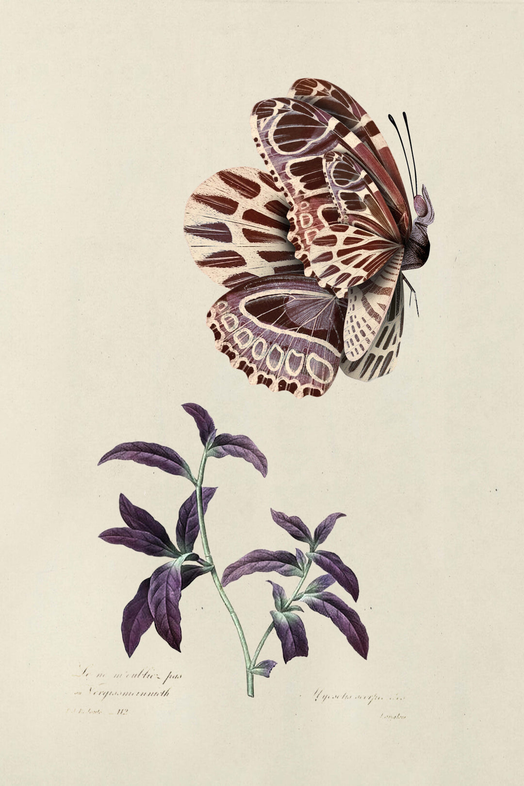 ARTE Mimic Moth Moooi Wallcovering Memento Moooi MO4000 afbeelding 5