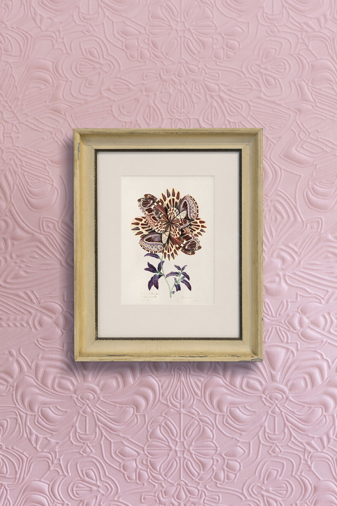 ARTE Mimic Moth Moooi Wallcovering Memento Moooi MO4000 afbeelding 4